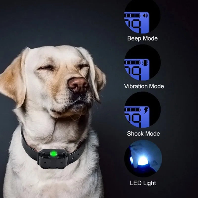 Collar de Adiestramiento Eléctrico para Perros – Alcance 800 m, Impermeable, Recargable, con Mando y Modos de Sonido, Vibración y Descarga