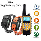 Collar de Adiestramiento Eléctrico para Perros – Alcance 800 m, Impermeable, Recargable, con Mando y Modos de Sonido, Vibración y Descarga